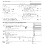 199 Form Exempt Organization Annual Information Return