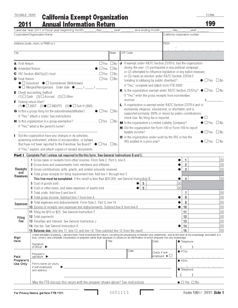 199 Form Exempt Organization Annual Information Return