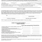 Form Pl 67 Application For Homestead Exemption Printable Pdf Download