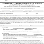 Free Maine Affidavit Of Exemption For Immediate Removal Form Pdf