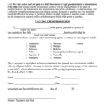 Ga Vaccine Fill Out And Sign Printable PDF Template SignNow