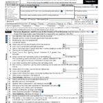 IRS Form 990 EZ Download Fillable PDF Or Fill Online Short Form Return