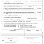 Non Resident Affidavit For Property Tax Exemption Form The State Of